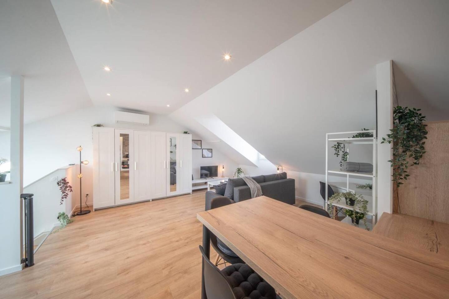 Superbe Appartement Climatise Parking Free Special Eurovision Mulhouse Kültér fotó